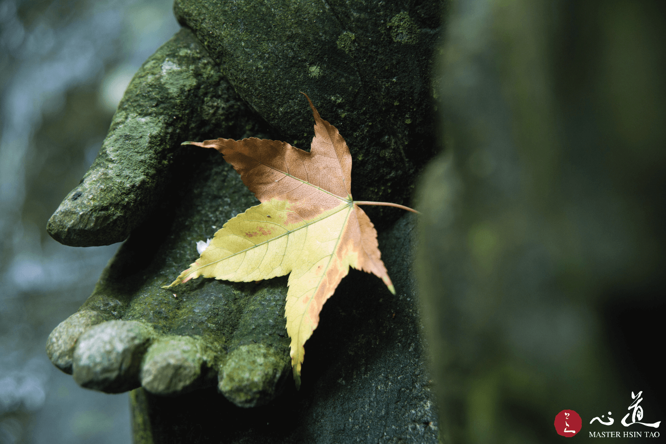 心道法師佛法開示-羅漢的境界是不生滅、沒煩惱，涅槃無生。